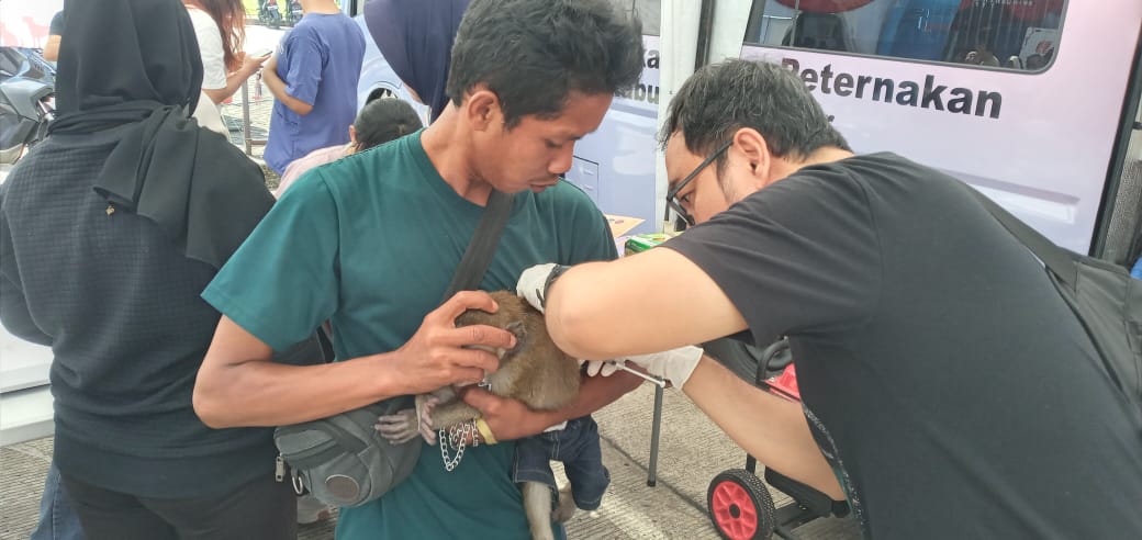 Vaksinasi Rabies dan Pengobatan Hewan Gratis dalam Rangka HJB Ke 543